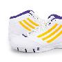 Adidas/阿迪达斯 男子 篮球鞋(G06622)