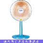 (北京五环内免运费)澳柯玛小太阳台地式取暖器FG9TL1(蓝)