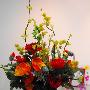 除甲醛 潇品光触媒绢花 仿真花红玫-杀菌除异味