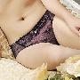 lilymoda恋上色丁性感蕾丝内裤中腰平角裤Lp09068正品特价热卖