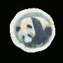 【免运费】专用餐具熊猫图案杯盘垫隔热垫，彩绘竹制杯垫 一套6个