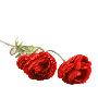 长物志【缦】60cm三朵红色苞芯玫瑰