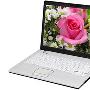 VUD411IU-T440AXPentium DC 2.2G(T4400),250G,1G,DVDRW,