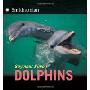 Dolphins