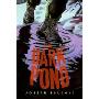 The Dark Pond