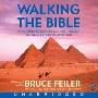 Walking the Bible CD: An Illustrated Journey for Kids Through the Greatest Stories Ever Told