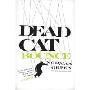 Dead Cat Bounce