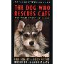 The Dog Who Rescues Cats: True Story of Ginny, The