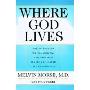 Where God Lives: The Science of the Paranormal and How Our Brains are Linked to the Universe