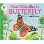 From Caterpillar to Butterfly Big Book