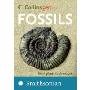 Fossils (Collins Gem)