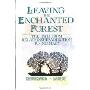 Leaving the Enchanted Forest: The Path from Relationship Addiction to Intimacy