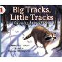 Big Tracks, Little Tracks: Following Animal Prints