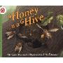 Honey in a Hive