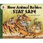 How Animal Babies Stay Safe