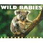 Wild Babies