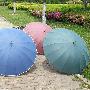【免运费】富贵紫自动商务伞，可当雨伞，遮阳伞，太阳伞，浅紫