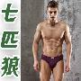 七匹狼男士印花全棉三角裤