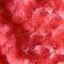 艺森高档立体玫瑰珊瑚绒毯 1.8米  砖红