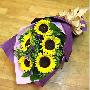 送花网 深圳鲜花预定 深圳鲜花配送 祝福鲜花 向日葵