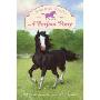 Charming Ponies: A Perfect Pony