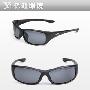 【专柜正品】派丽蒙太阳镜 男款时尚偏光太阳眼镜 8109 S8