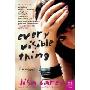 Every Visible Thing: A Novel