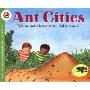Ant Cities