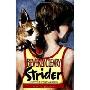 Strider