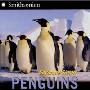 Penguins