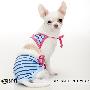 新款 ISPET宠物服装 泳装 可爱条纹宠物比基尼 泳衣 SS-2045 M码