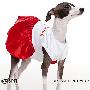 SPET宠物服装 经典配色超柔 宠物裙子 SS-2062 M码白色