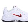 7.5折 耐克 NIKE 专柜正品 训练鞋 男子 包邮 344105-102