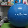 特价山联75CM防爆加厚瑜伽健身球瑜珈球健身球蓝色-送气泵