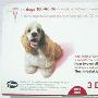 美国辉瑞 大宠爱中型犬滴剂1.0ml /20.1-40lb/盒