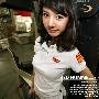 韩国热卖 后背天使之翼绣花短袖Polo T恤 情侣装 男女码齐全D233