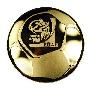 2010年南非世界杯特许-球形纪念纯金银牌(套装)