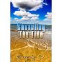Shoveling the Tide (Perfect Paperback)
