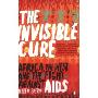 The Invisible Cure: Africa, the West and the Fight Against AIDS (平装)