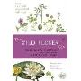 The Wild Flower Key (平装)