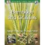 Bamboos and Grasses: Simple steps to success (平装)