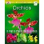 Orchids (平装)