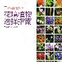 花境植物选择指南