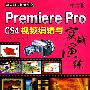 中文版 Premiere Pro CS4 视频编辑与实战演练 (附光盘1张)(电子制品DVD-ROM)(数码影视轻松课堂)