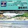 HOW & WHY-3：地球密码（版权销往全球50多个国家，美国国家出版奖获奖图书）