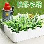 吉满 快乐农场现实版-风车j5804 DIY桌面小植物 礼品