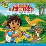 Dinosaur Hide-and-Seek: A Lift-the-Flap Book (平装)