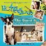 Hotel For Dogs: The Guest Book (平装)