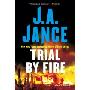 Trial by Fire: A Novel of Suspense (平装)