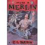 The Fires of Merlin (DIGEST) (平装)